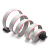 70cm 10 Pin IDC Flat Cable